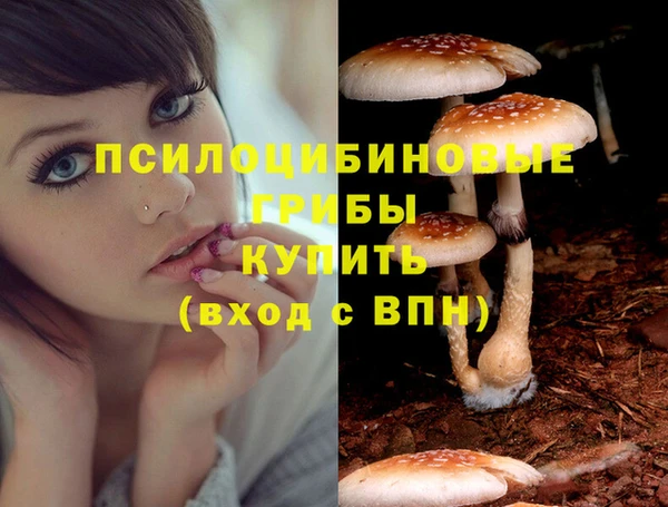 спайс Алексеевка