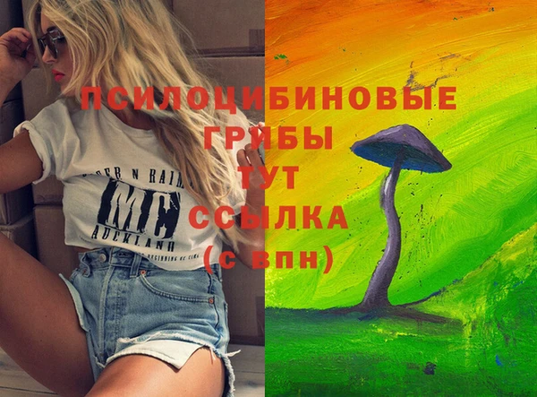 спайс Алексеевка