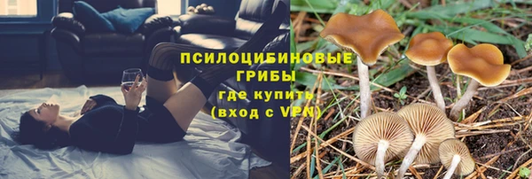 героин Алексин