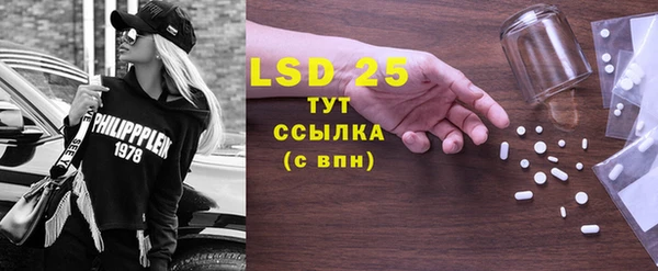 прущие грибы Алзамай